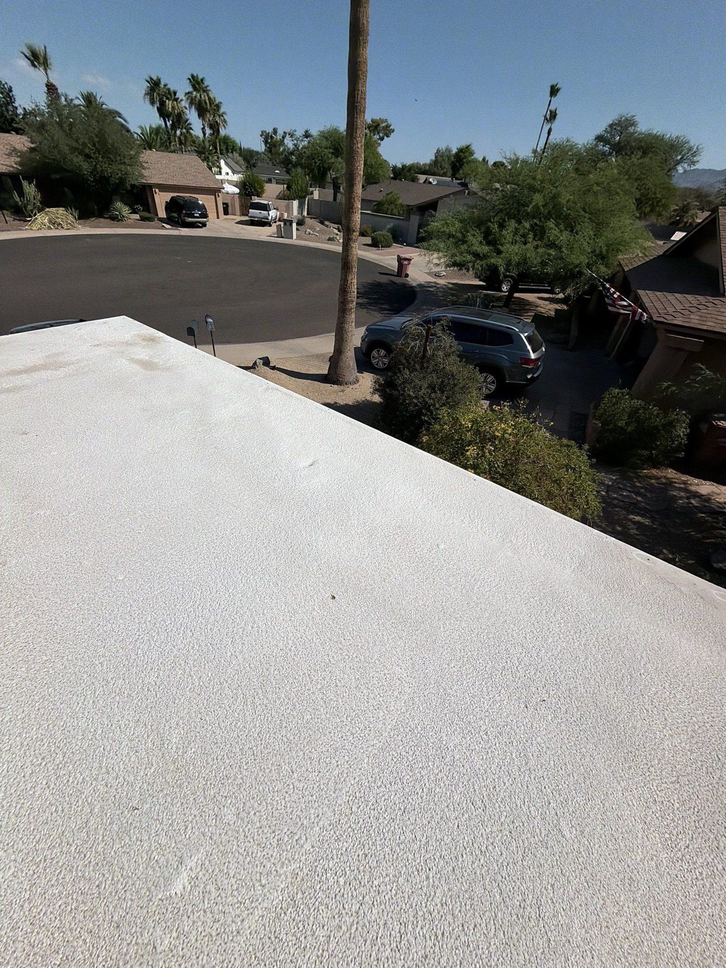 Clean white foam roof with palms and street beyond